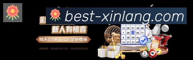 未来规划